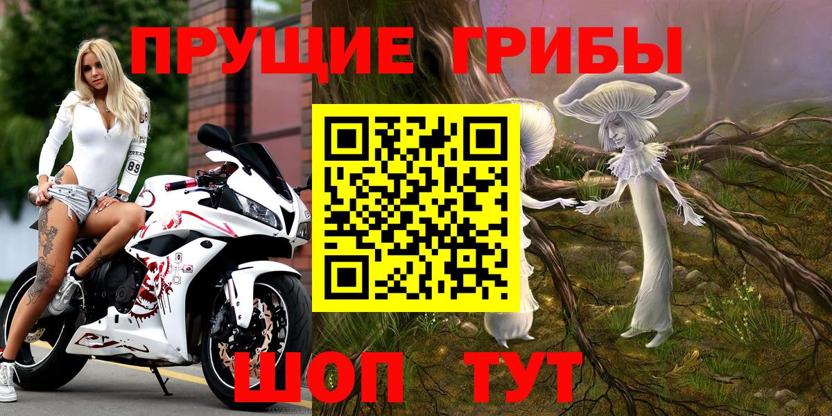 Псилоцибиновые грибы ЛСД Карпинск