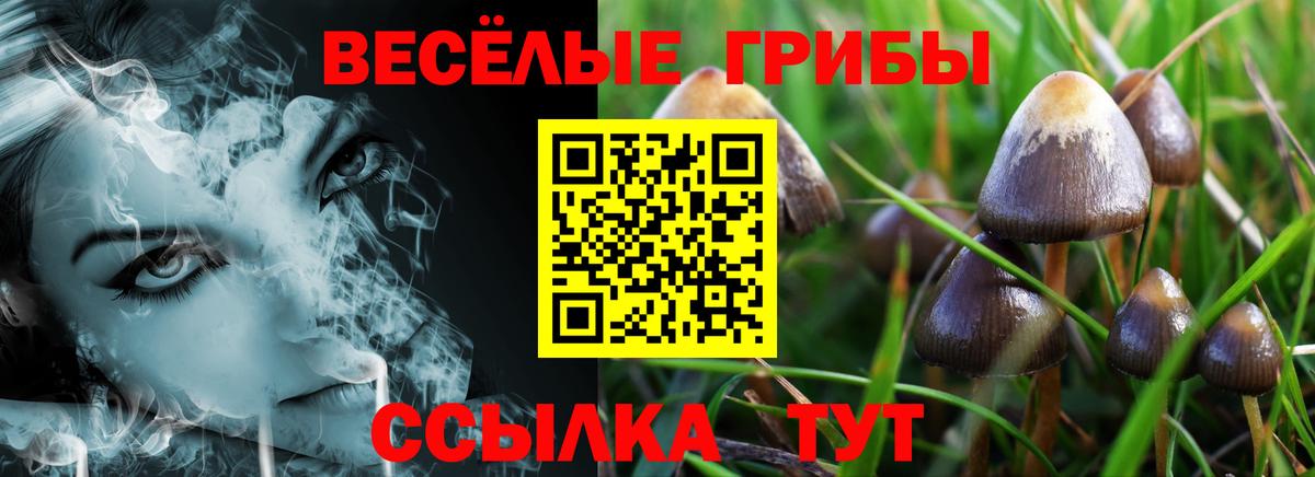 Галлюциногенные грибы Magic Shrooms  Вход с VPN  Карпинск 
